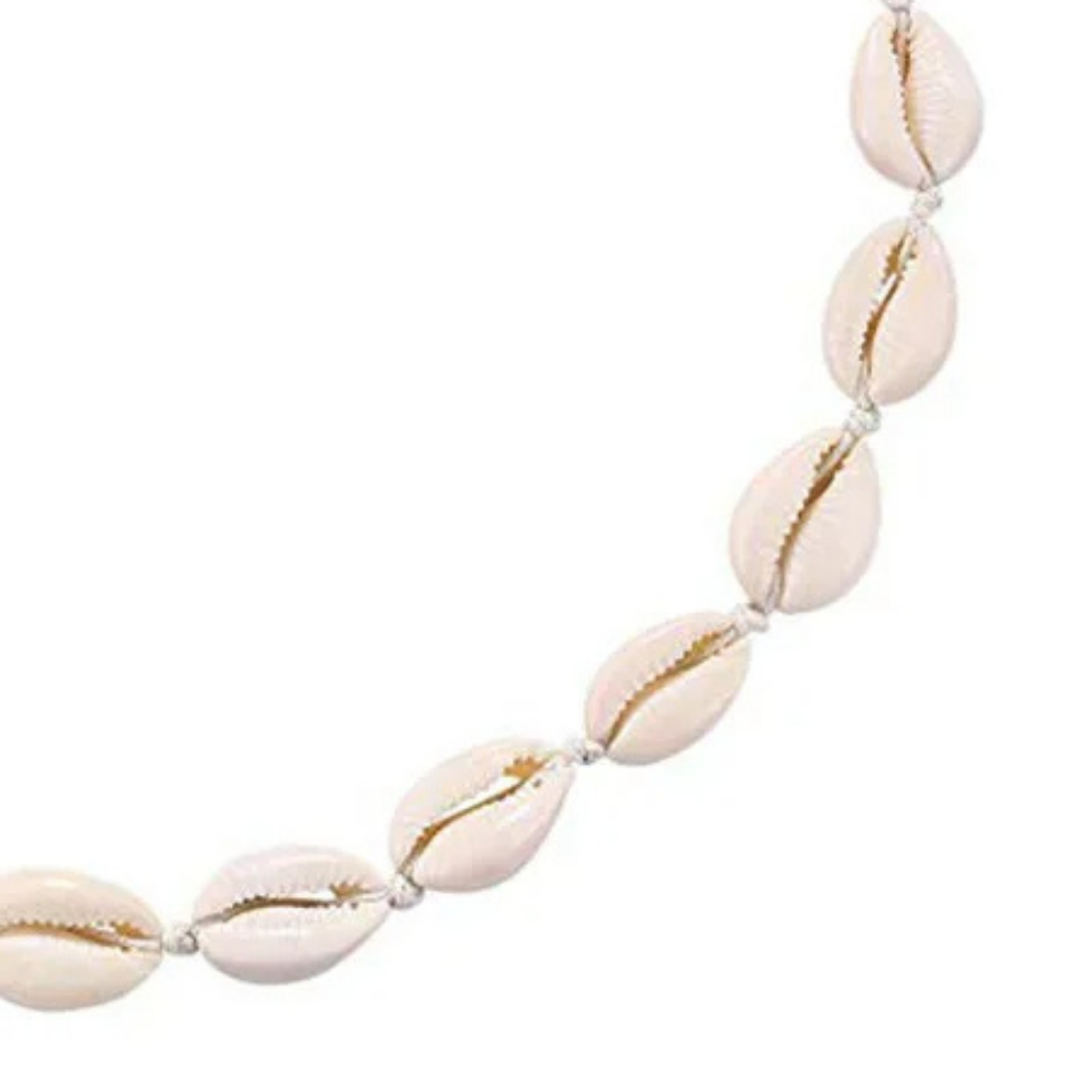 Collier Coquillage Cauris pas cher