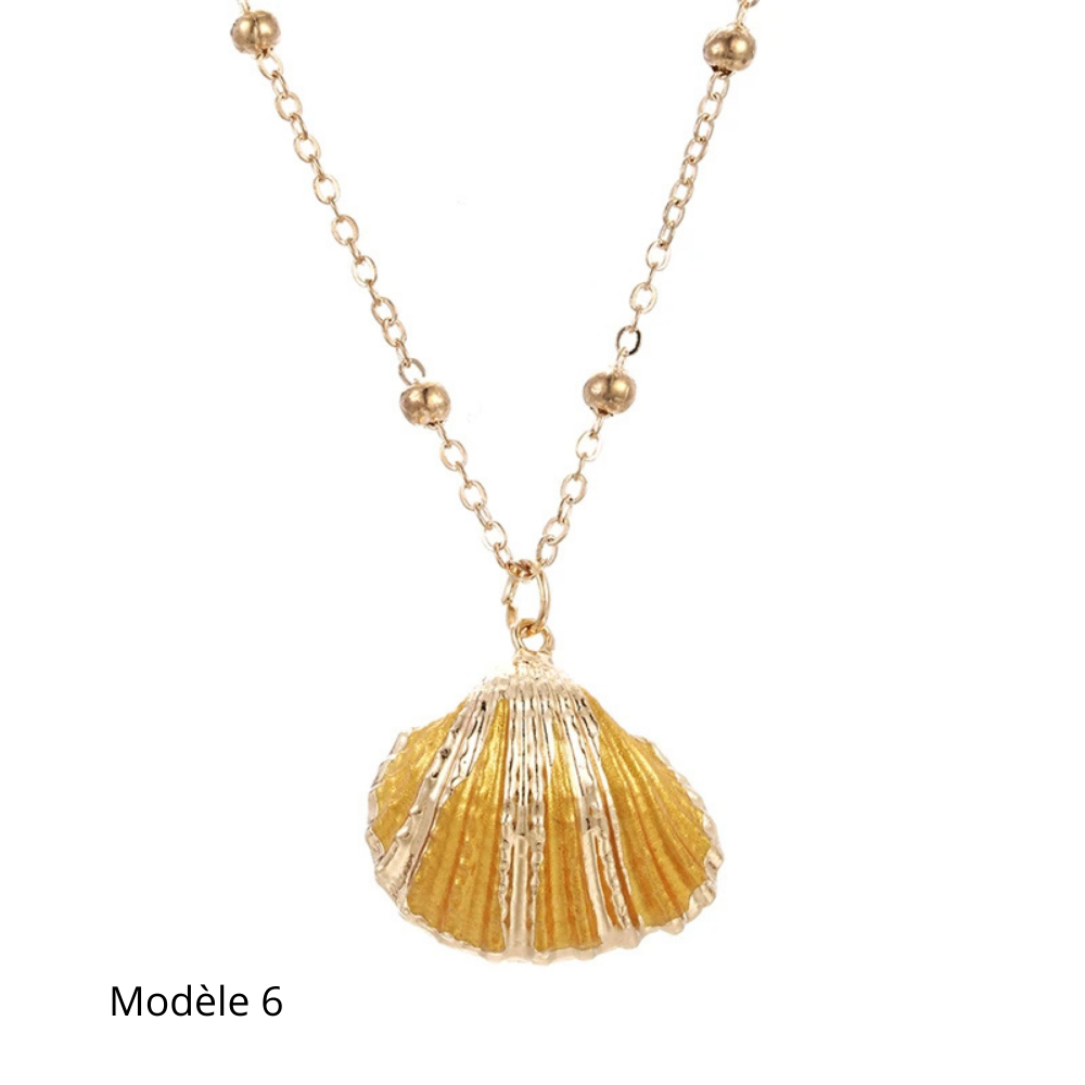 Collier Coquillage Naturel